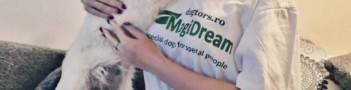 Asociatia Magidream