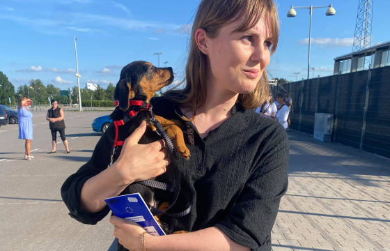Hraneste un caine flamand si singur. Impreuna oferim o sansa. @ Daruieste ziua ta! 🐶🎉