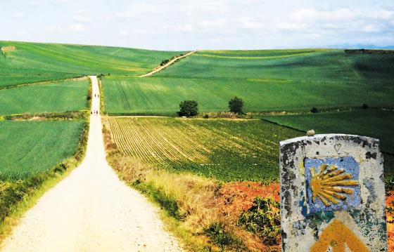 Alaturi de Andreas-Rares in lupta cu sindromul AHDS @ Pe Camino de Santiago pentru Andreas Rares