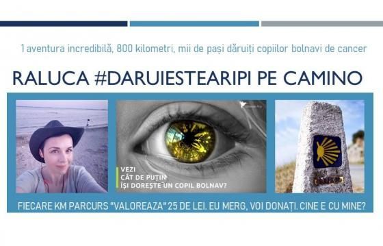 Raluca #daruiestearipi pe Camino