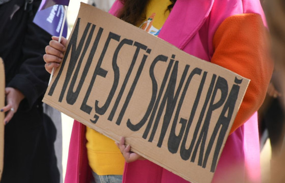 Sprijin pentru victimele violentei domestice