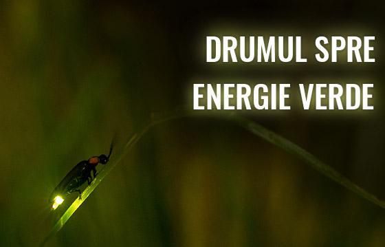 Centrul de Salvare și Reabilitare a Animalelor Sălbatice - Drumul spre Energie Verde